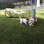 5 Woche